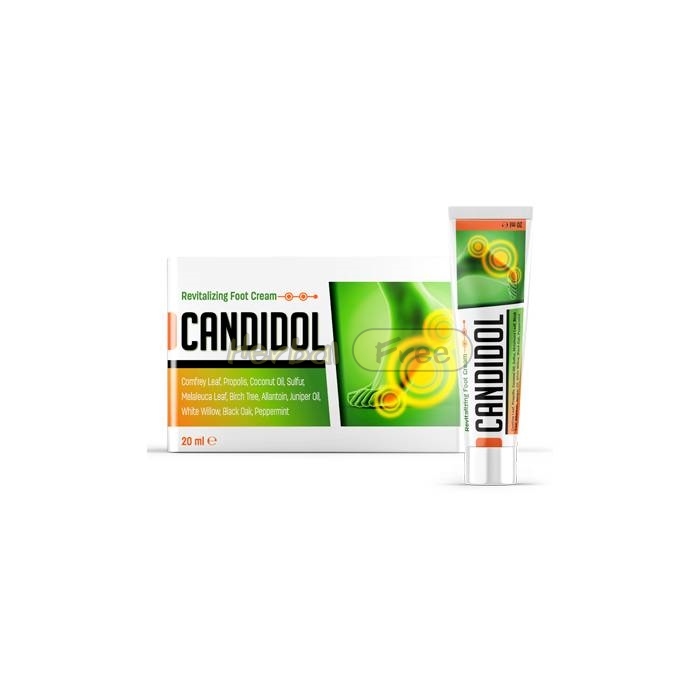 Candidol в Бытоме