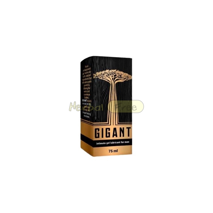 Gigant 