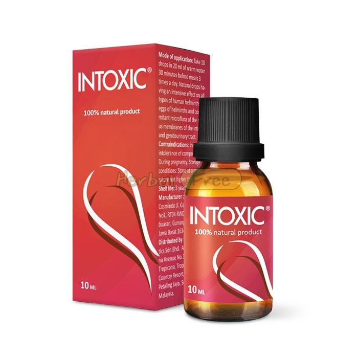 Intoxic в Картахене