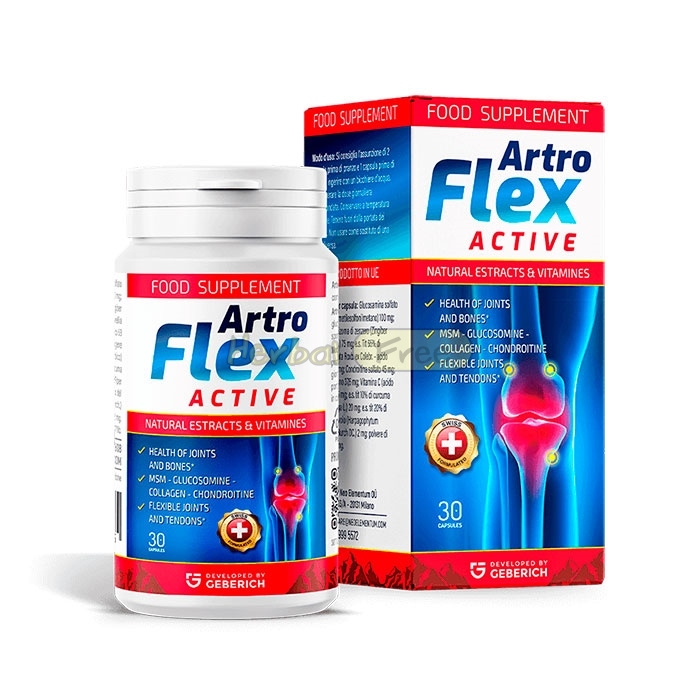 ArtroFlex Active u Kasselu