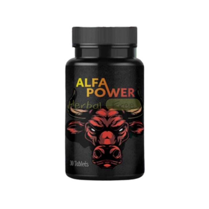 Alfa Power בטארגו גיו