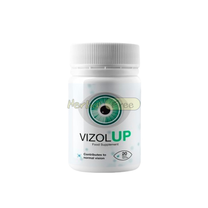 VizolUP в Монтане