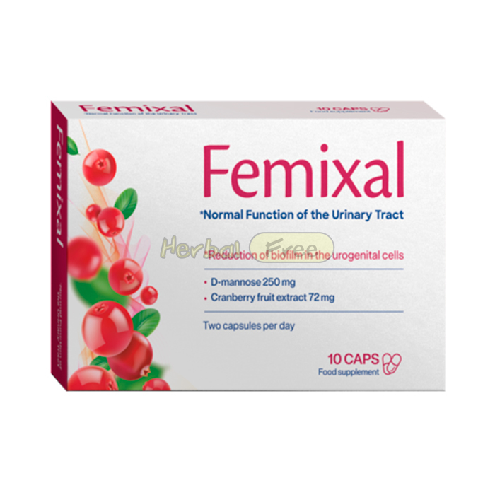 Femixal in Boy Mare