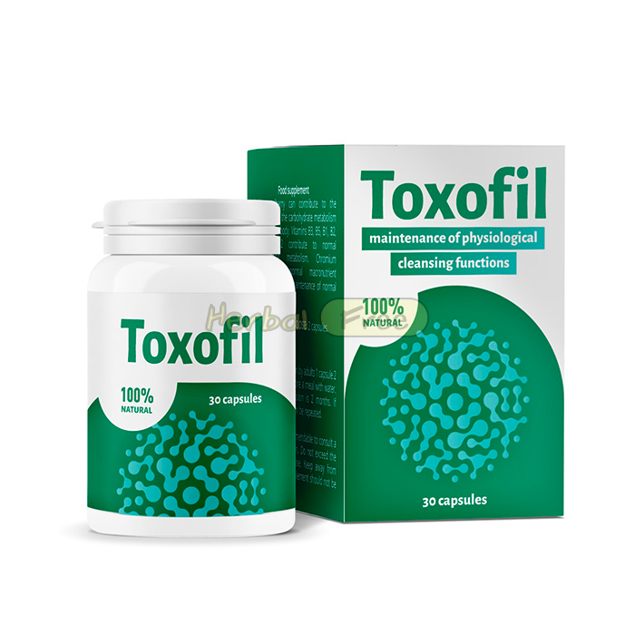 Toxofil in Rome