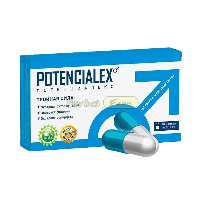 POTENCIALEX в Олександрії