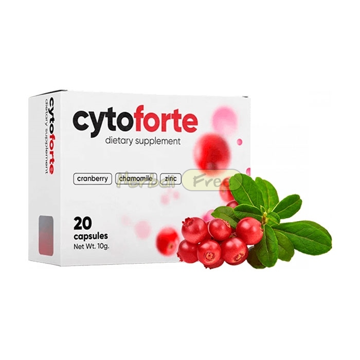 Cytoforte Լեգնիցայում