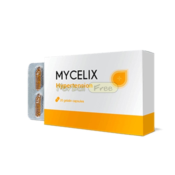 Mycelix w Bottrop